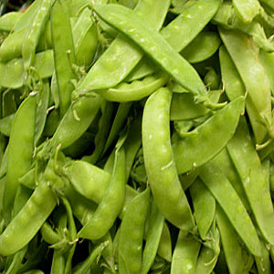 Peas - Sugar Snap (Seed Pack)