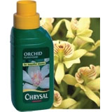 Chrysal - Orchid (250ml)