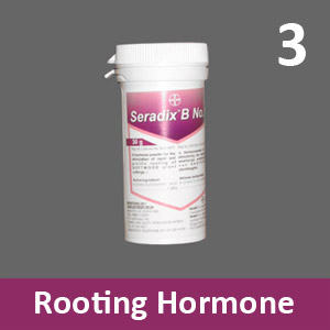 Seradix B No.3 (30g)