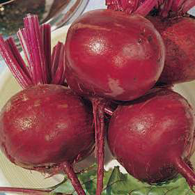 Beetroot - Crimson (Seed Pack)