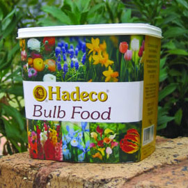 Bulb Food (500g)