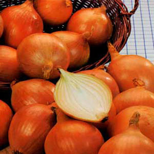 Onion - Texas Grano (Seed Pack)